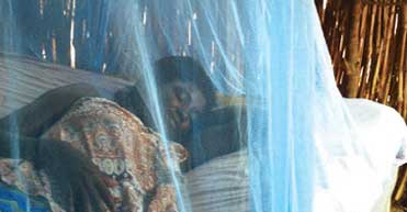 Insecticide-treated nets